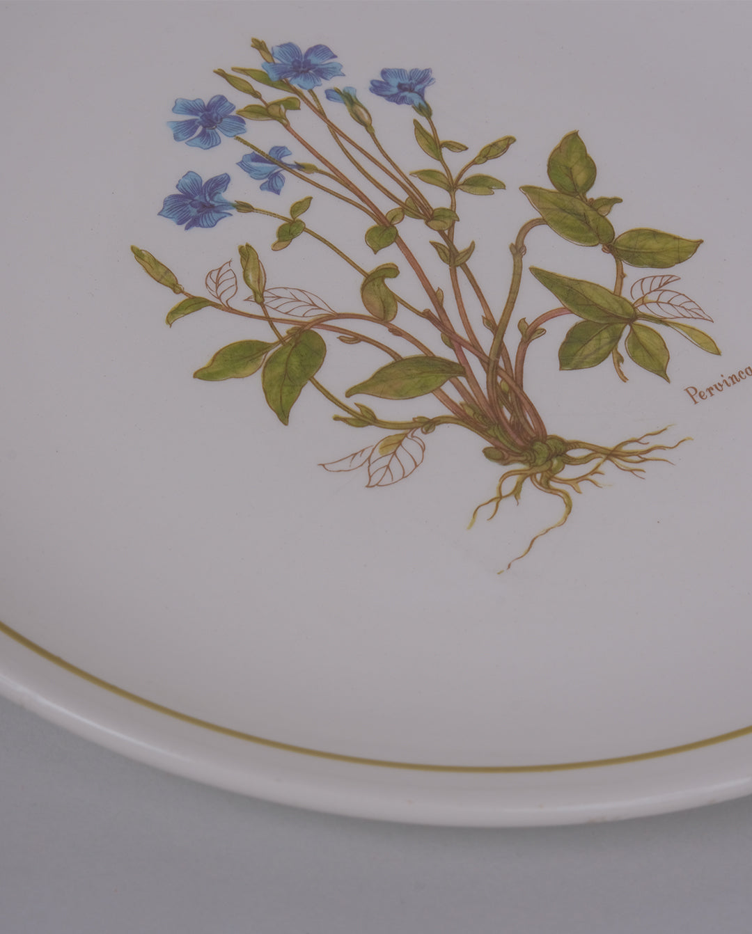 Assiettes à dessert Moulin des Loups