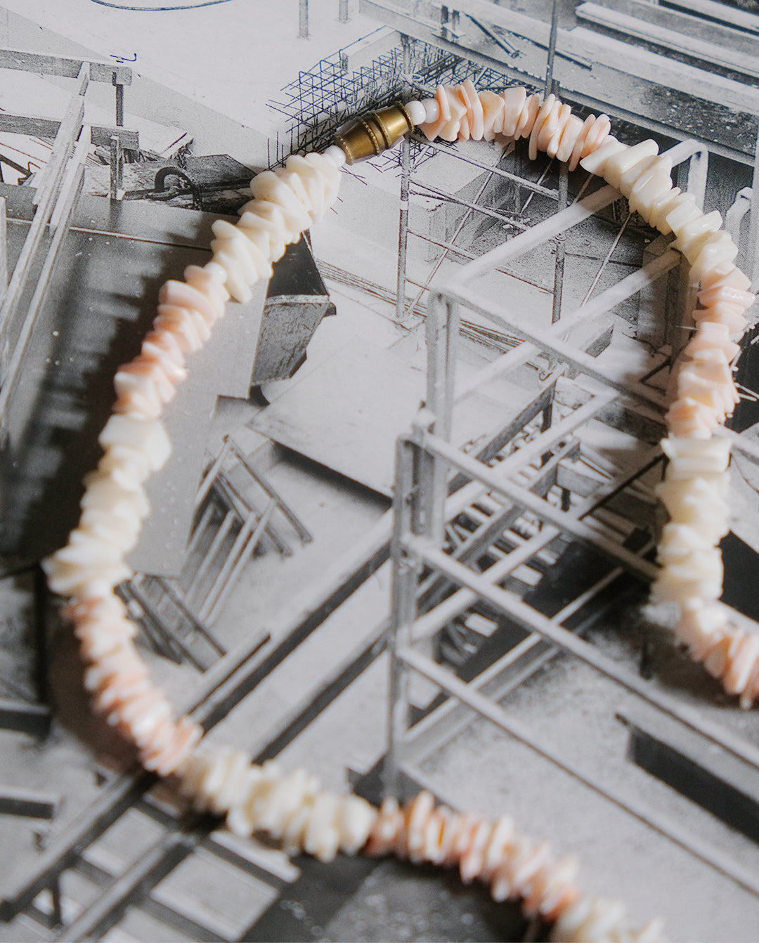 Collier de coquillages