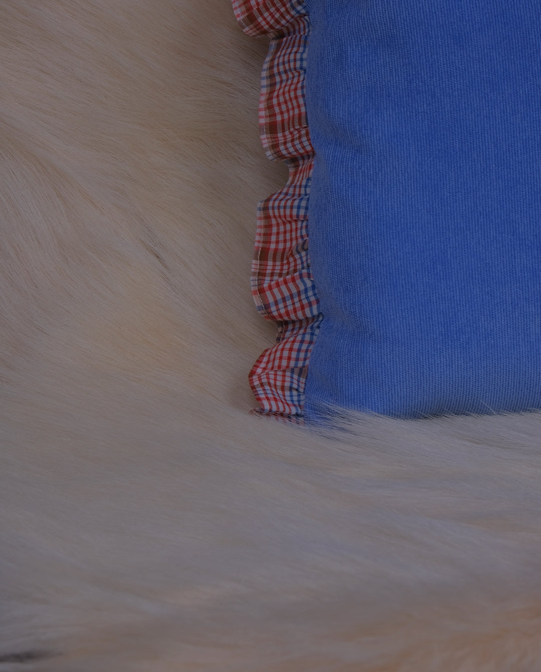 Coussin B rectangle