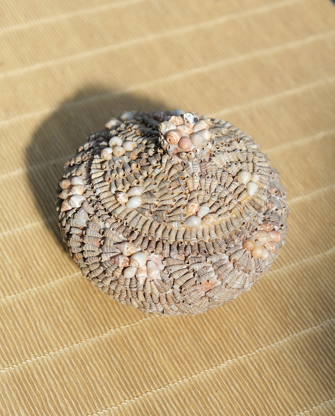 Boîte en argile recouverte de coquillages, travail artisanal