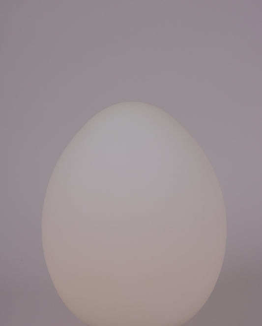 Lampe en verre dépoli